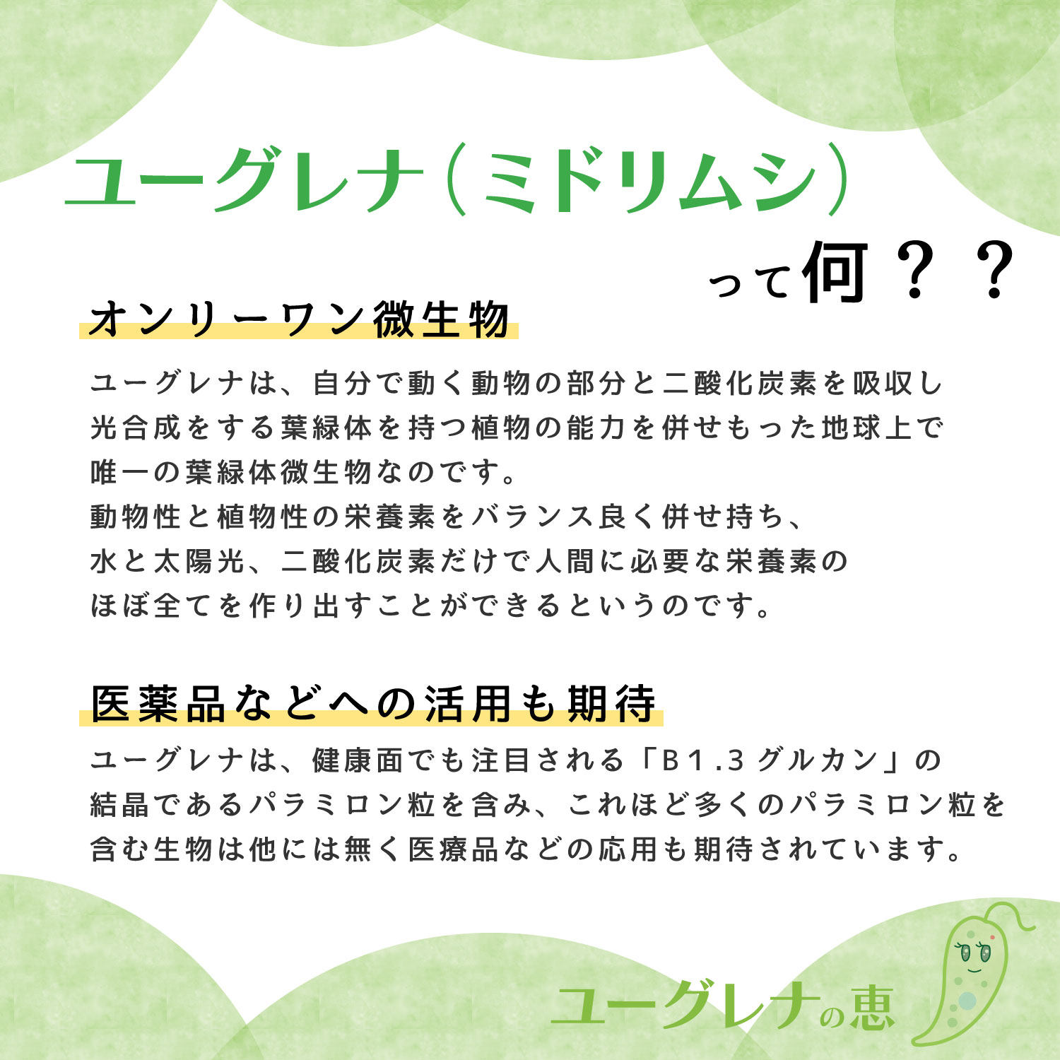 “ユーグレナって何？オンリーワン微生物・医薬品などへの活用も期待”