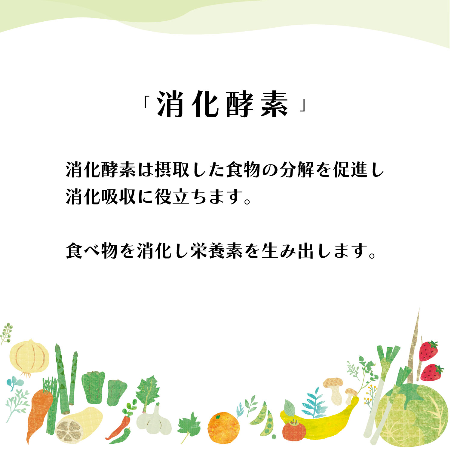 “消化酵素”　