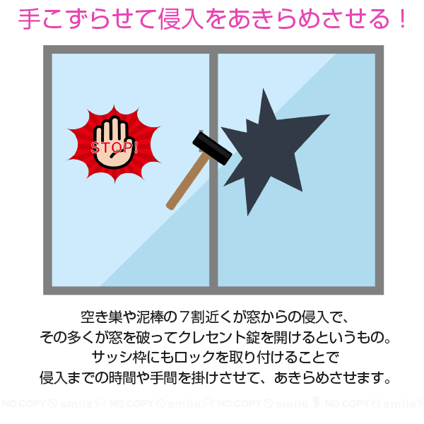 ノムラテック（Nomura Tec） お知らせ窓付き ワンタッチロック 大 2個