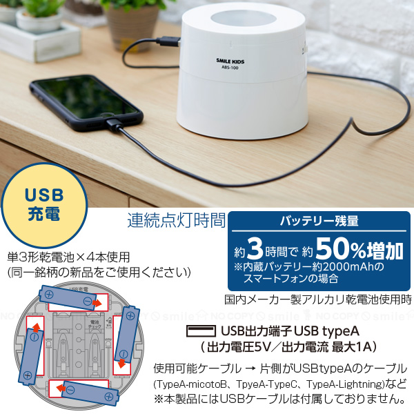 Aputure LEDライトバルブ 3個セット 収納ケース付。4個迄収納可能です