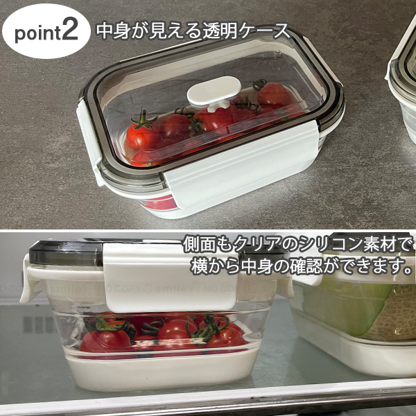 Felio たためるシリコン保存＆ランチボックス 長方形800ml F21745