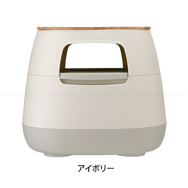 RISU（リス） poapel 天板付き動かせるくつろぎ収納 ローテーブル