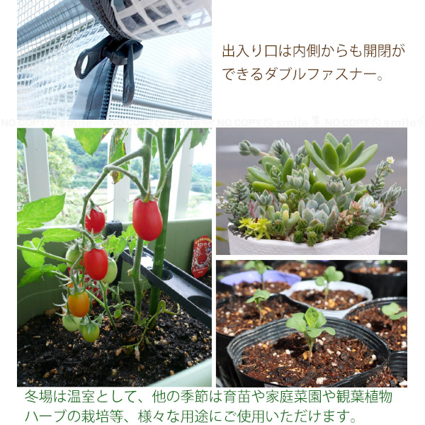 グリーンジャンボ #7800「送料無料」/ 温室 グリーンキーパー 組立