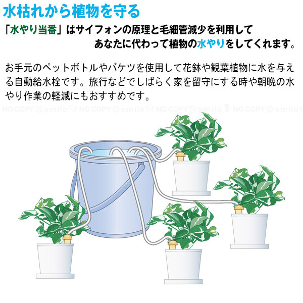 水やり当番m お買い得4本セット 水やり サイフォン 毛細管現象 自動 自動給水栓 鉢 プランター 観葉植物 留守 旅行 2p 住マイル 通販 Yahoo ショッピング