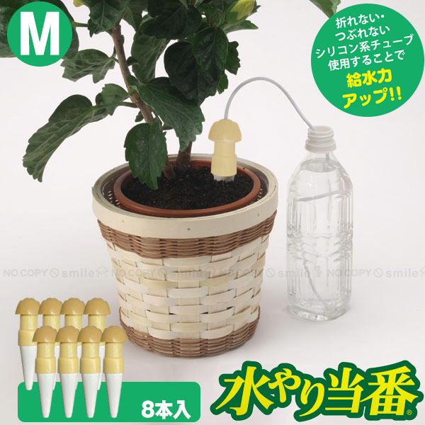 水やり当番 M 「8本セット」「コンパクト便」/ 水やり