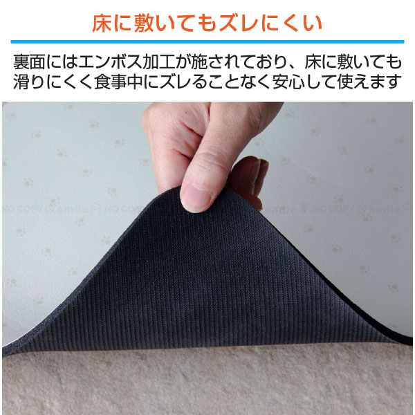 hachi（CB JAPAN） 吸水ソフトランチョンマット 60×30
