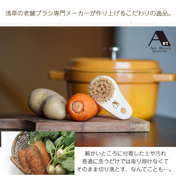 ピヨ丸ラグ　おまけ付きブラシ 富士パックス販売 根菜ごしごし 丸洗いブラシ 「コンパクト便