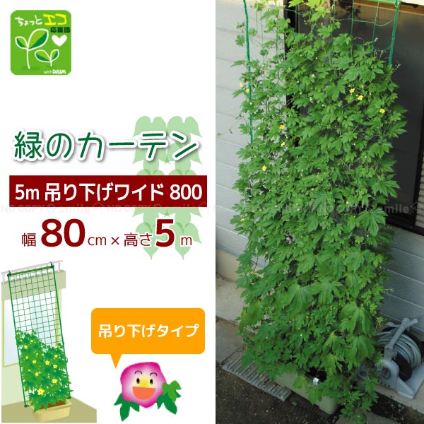 緑のカーテン 第一ビニール 緑のカーテン 伸縮アーチ型 180cm幅 1セット入りの販売