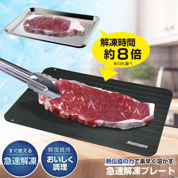 HAC（ハック） 急速解凍プレート HAC4111 「ゆうパケ送料無料」/ 解凍