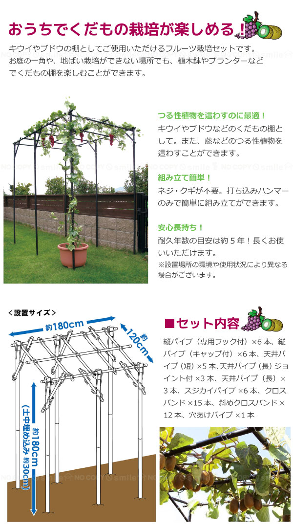 くだもの棚セット「KT-M」「送料無料」 : 4968438016924 : 住マイル - 通販 - Yahoo!ショッピング