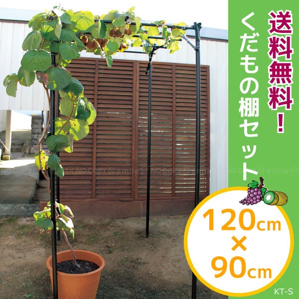 くだもの棚セット「KT-S」「送料無料」 : 住マイル - 通販