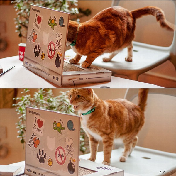 キャットスクラッチャー LAPTOP「送料無料」/ 猫 爪とぎ おもしろ