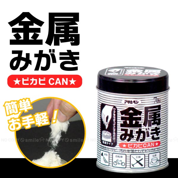 金属みがき ピカピCAN / ぴかぴかん ピカピカン 楽器 工具 金属 サビ