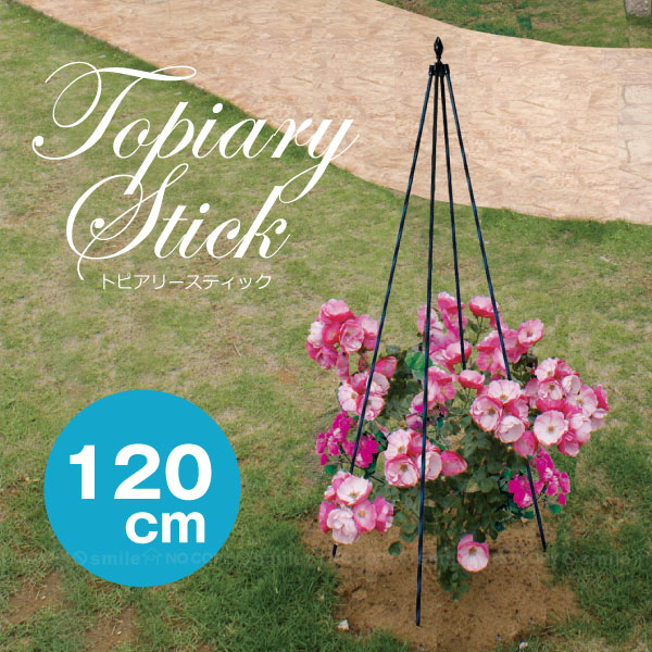 英国支柱、トピアリー2点 英国支柱、トピアリー2点