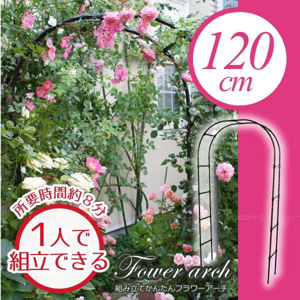 組み立てかんたんフラワーアーチ 幅120cm W120-H 「送料無料」 :4968438017938:住マイル - 通販 - Yahoo!ショッピング