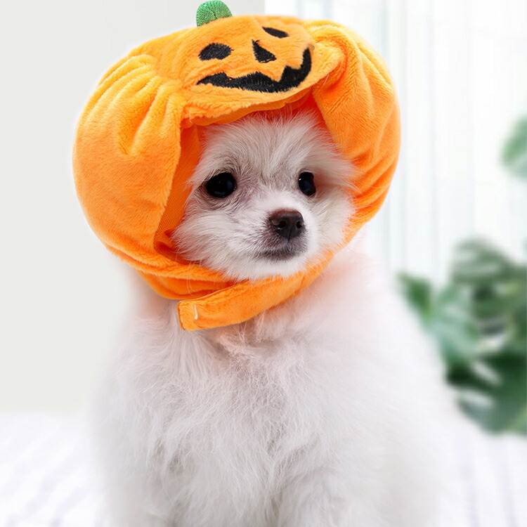 ハロウィン かぶりもの 犬 猫 被り物 コスプレ 仮装 衣装 帽子 コスチューム パンプキン かぼちゃ ジャックオーランタン 小型犬 中型犬 ペット  帽子、かぶりもの
