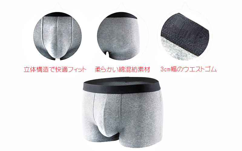 【新品】HANROボクサーブリーフL2枚セット　グレー・レッド　高品質コットン ARCADE ボクサーパンツ レース メンズ 3枚セット 接触冷感 速乾