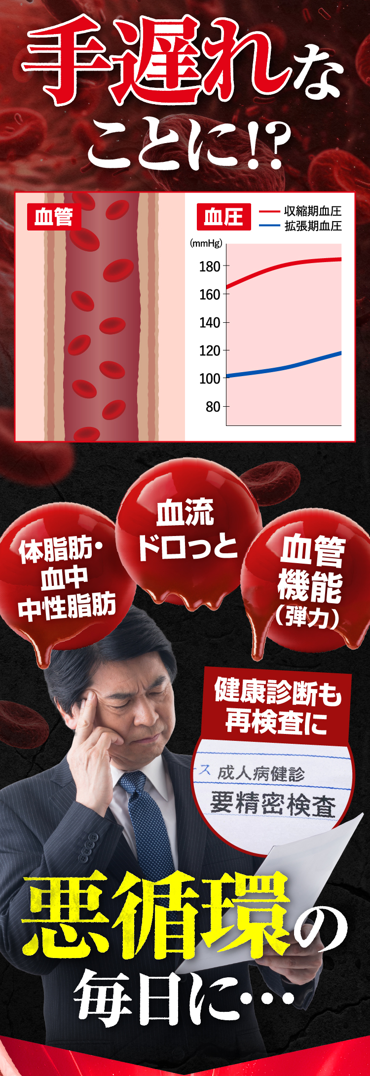 循善豆 納豆キナーゼ 納豆 納豆菌 ナットウキナーゼ 60粒30日分 