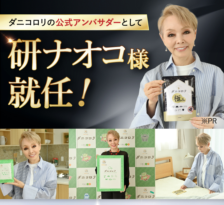 ダニコロリ極み ダニコロリ極み3枚入り ダニころり ダニ捕りシート ダニ取りシート ダニ取り ダニ捕り  ダニ捕獲シート ダニ退治 ダニ対策 ダニ駆除 ダニ除け ダニ対策 防ダニ ダニシート ダニマット ダニ取りマット ダニ捕りマット ダニよせ ダニよけ 防ダニシート 完璧なダニ対策に 置いて 集めて 捨てるだけ