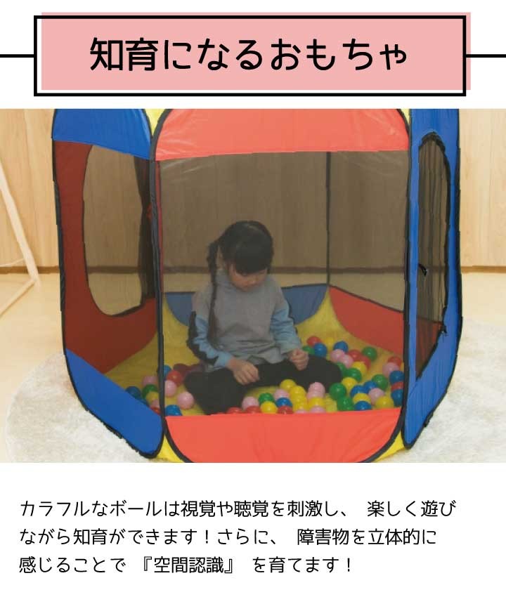 知育