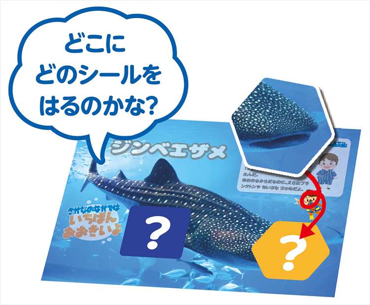 シールブック3冊セット 動物園・水族館・食べ物 おもしろ絵本 パズル 知育玩具 人気 こども キッズ 4歳 貼ってはがせる 学習 保育園 シールブッ｜smile-zakka｜06