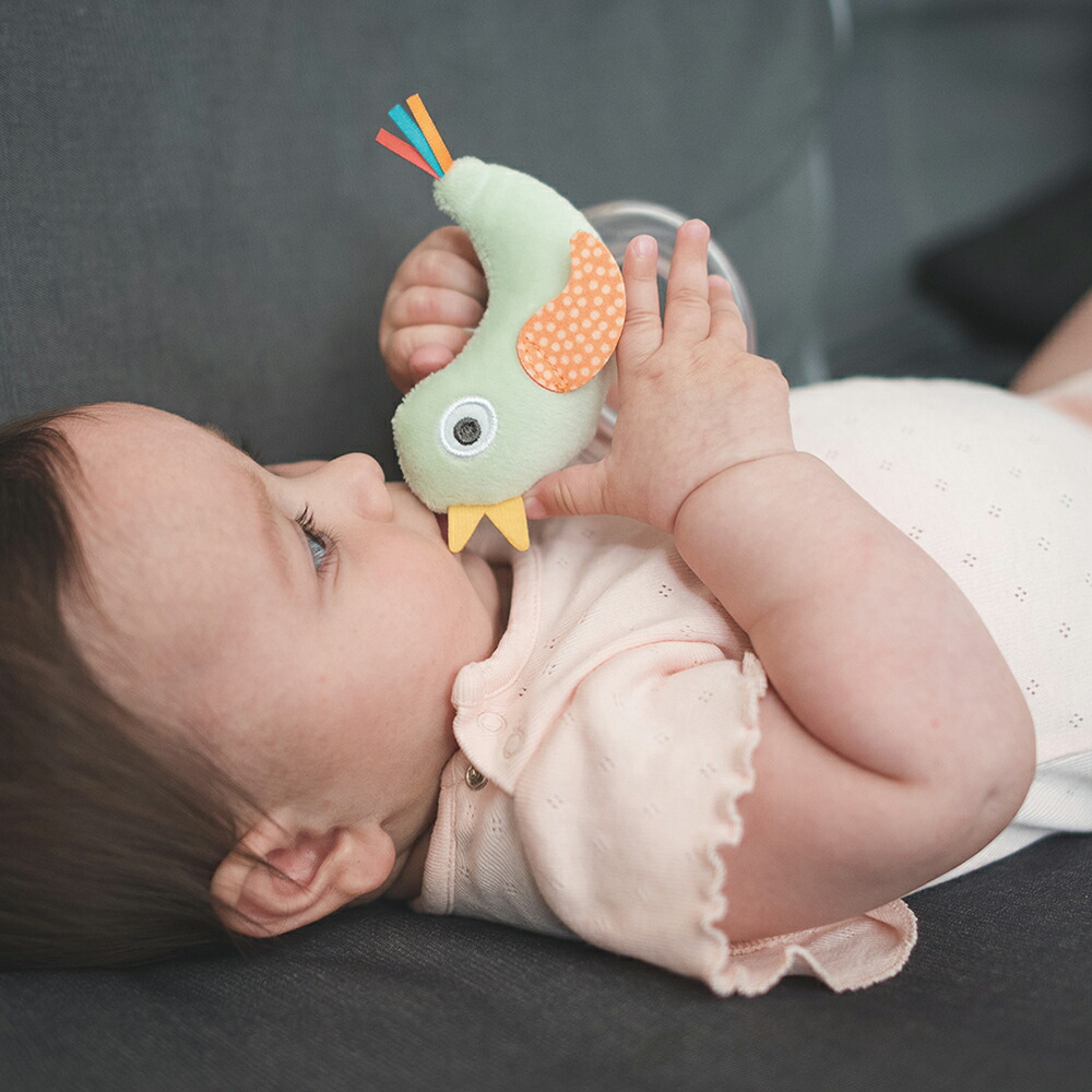 エド・インター ことりのラトル taftoys 0歳 6ヶ月 1歳 2歳