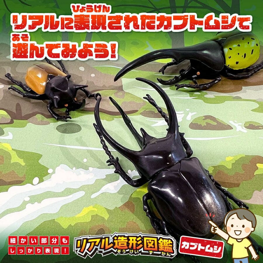 図鑑 造形図鑑 カブトムシ リアル造形図鑑 フィギュア 知育 玩具 子供