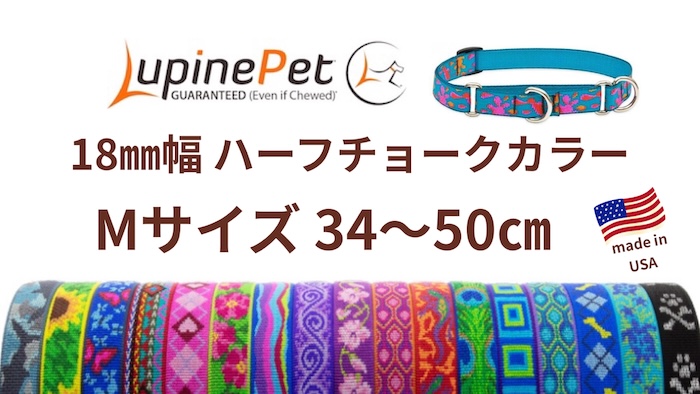 旧型ゲート式120cmリード・18mm幅☆ブリングボンズ柄☆アメリカ製