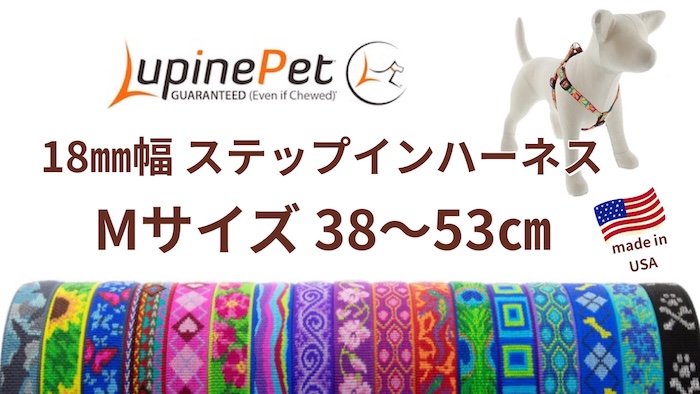 旧型ゲート式120cmリード・18mm幅☆ブリングボンズ柄☆アメリカ製