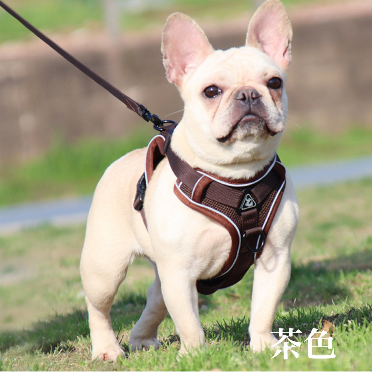 犬 ハーネス リードセット 小型犬 中型犬 胴輪 抜けない かわいい 簡単着脱 衝撃吸収 調節可能 引っ張り防止 咳き込み軽減 散歩 出かけ用 安全  :inu20210701:AIAIショップ - 通販 - Yahoo!ショッピング