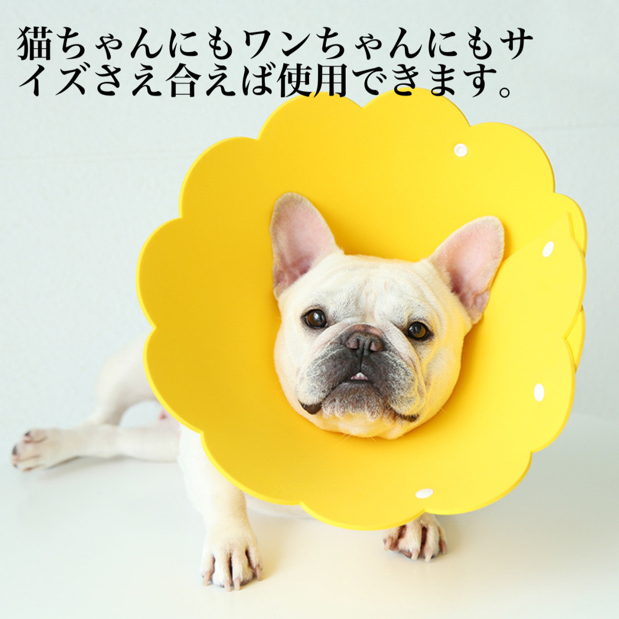 可愛いお花 犬用 猫用 EVA素材 軽量 ソフトエリザベスカラー