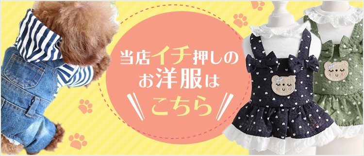 当店イチ押しのお洋服はこちら