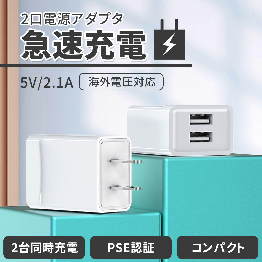 アップルホームポッド黒(電源アダプター付いていません) 楽天市場】100V-240V 国内+海外対応 スマートフォン 充電器 AC