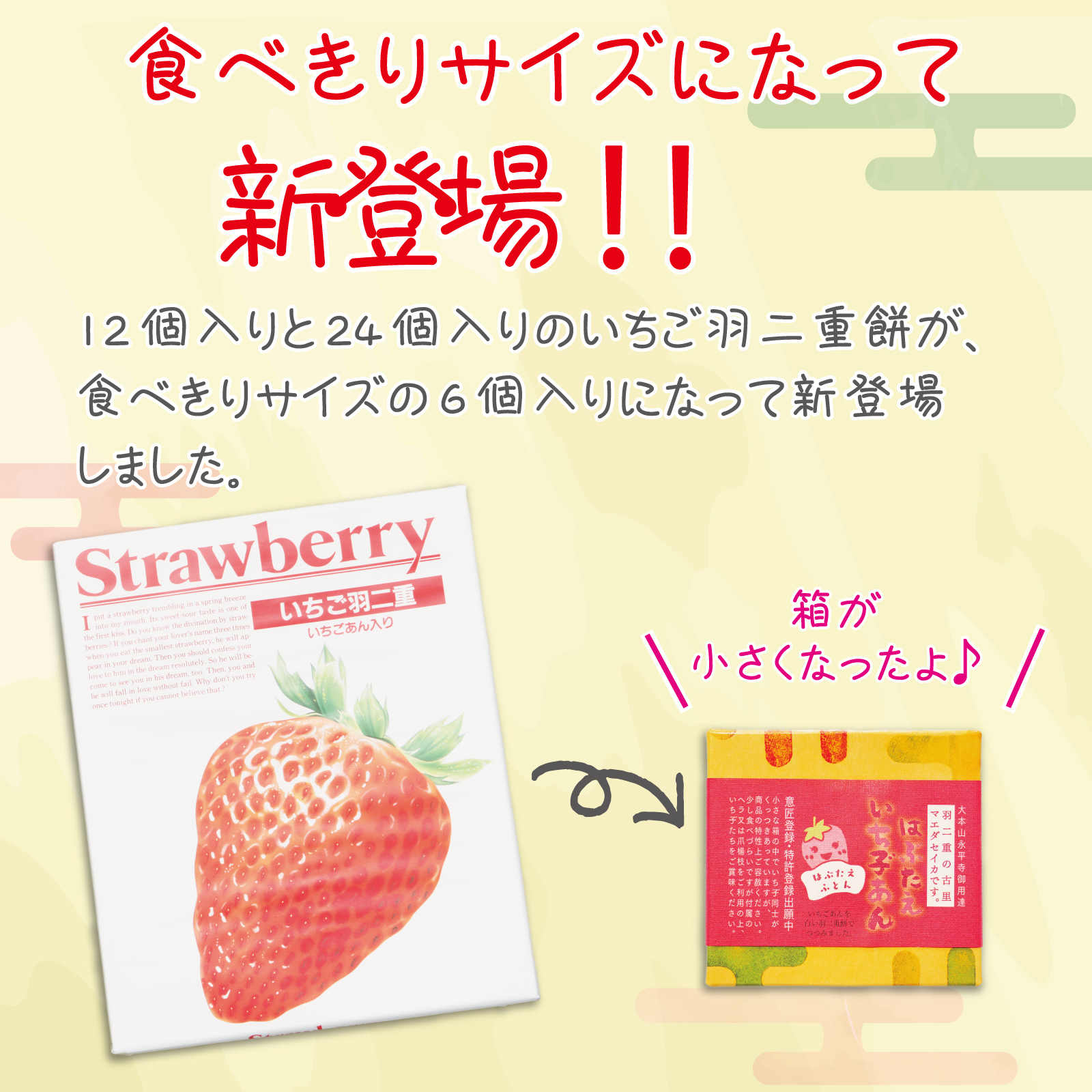 はぶたえ いち子 6個