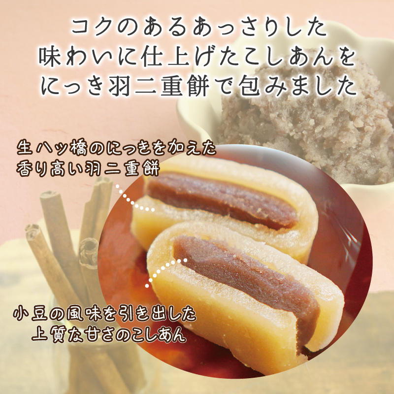 にっきあん子
