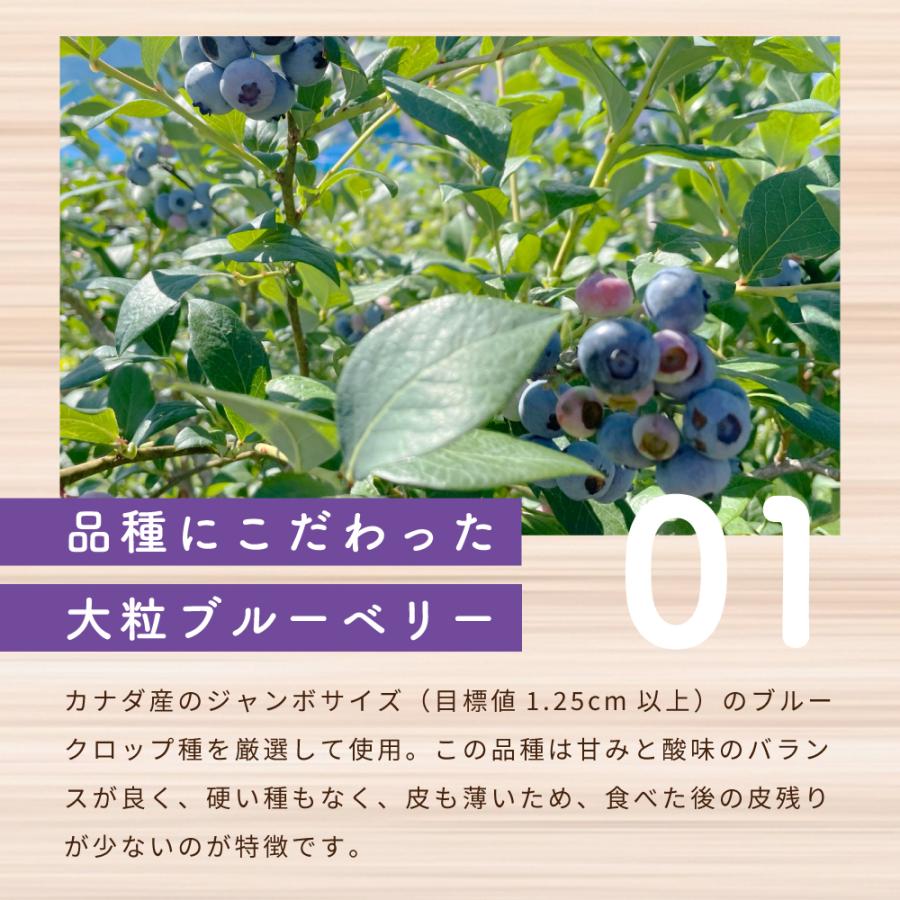 冷凍食品 Delcy ブルーベリー 2.16kg (180g×12個)｜smilespoon｜10