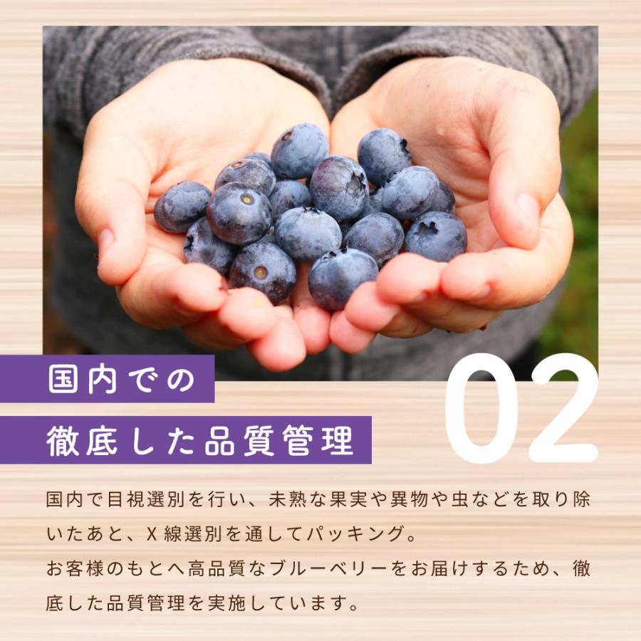 冷凍食品 Delcy ブルーベリー 2.16kg (180g×12個)｜smilespoon｜11
