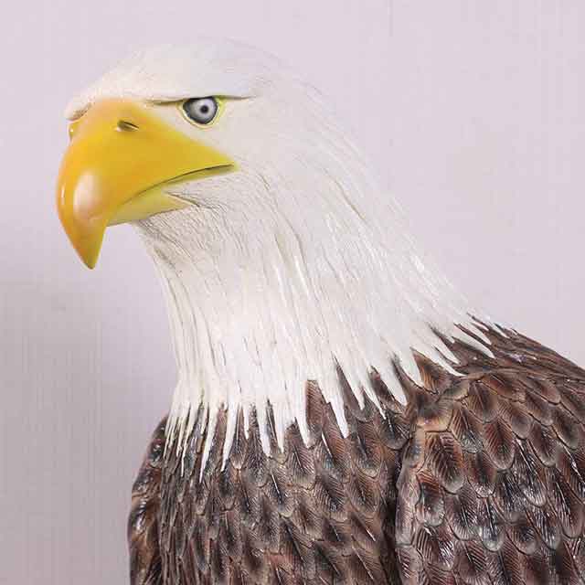 大型フィギュア アメリカンボールドイーグル / ハクトウワシ