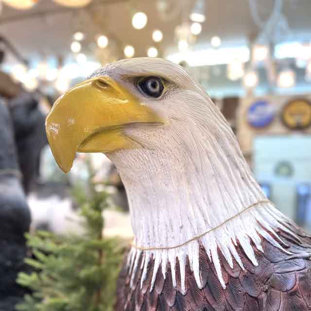 大型フィギュア アメリカンボールドイーグル / ハクトウワシ