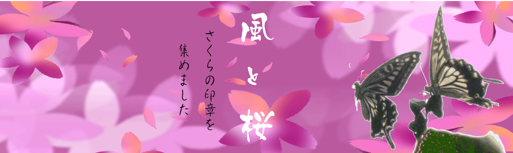風と桜