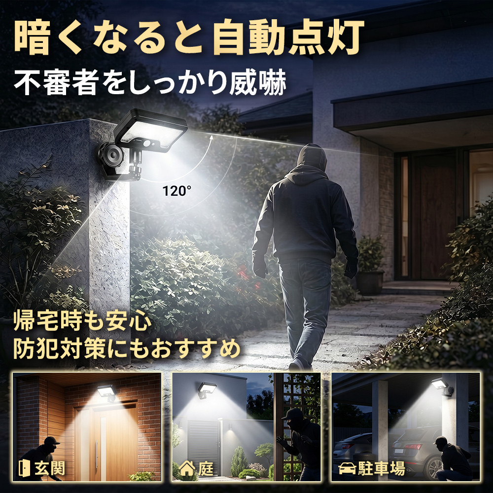 ccp0144-yh1.jpg