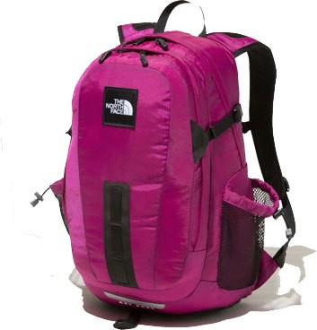 大人気定番 ザ・ノースフェイス THE NORTH FACE リュックサック メンズ レディース NM72008 ホットショット スペシャルエディション 30L デイパック バッグ シューマートワールド - 通販 - PayPayモール 高品質在庫