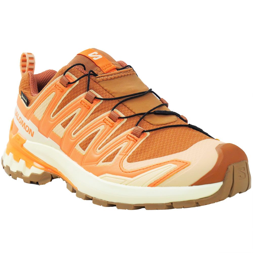 SALOMON（サロモン） 爆買 防水 スニーカー レディース XA PRO 3D V9