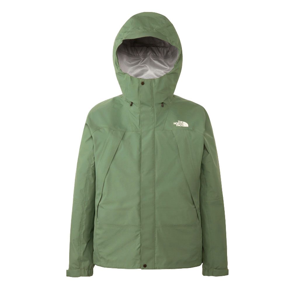 The North Face GORE-TEX マウンテンダウンコート　Lサイズ THE NORTH FACE GORE-TEX マウンテンダウンジャケット L 公式