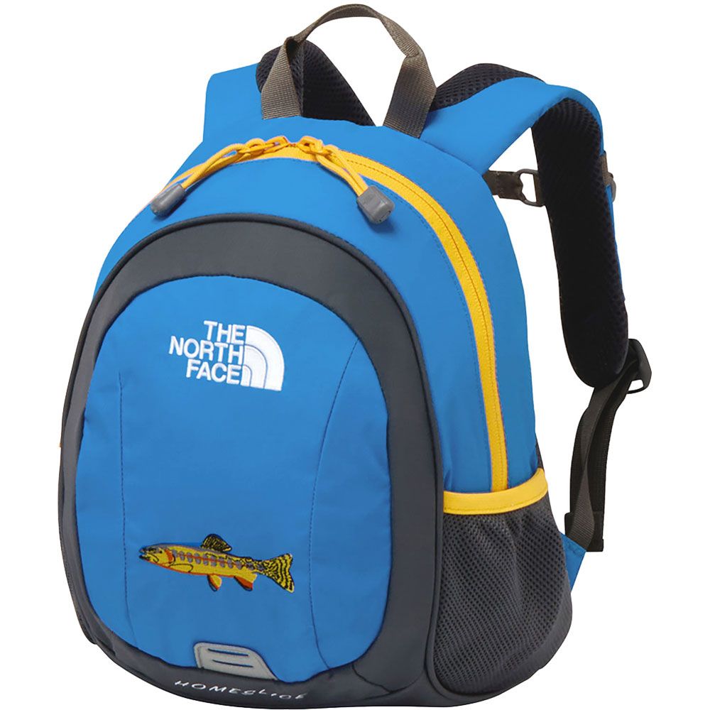 THE NORTH FACE ザ・ノース・フェイス バックパック デイバッグ