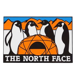 ザ・ノースフェイス TNFプリントステッカー NN32348 ロゴ シール 雑貨 キャンプ sticker グラフィック デザイン 山 ペンギン 看板｜smw｜04