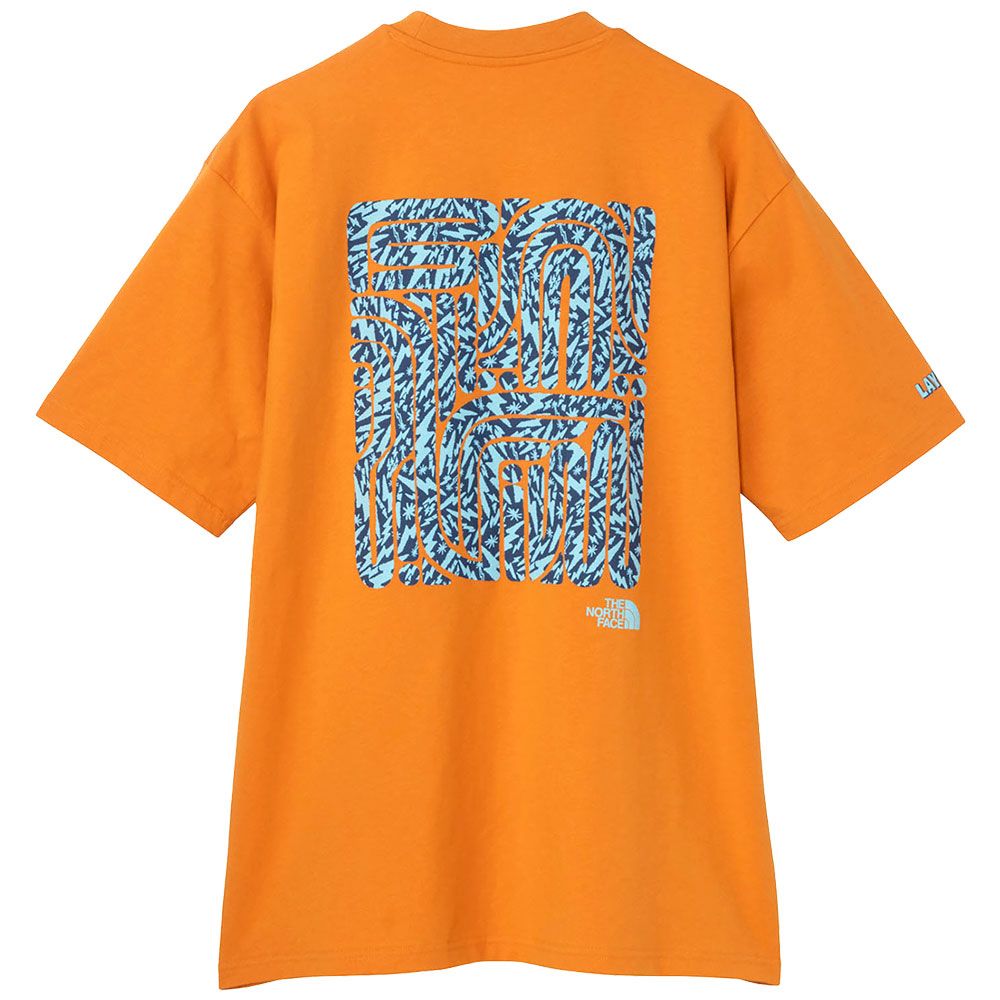 THE NORTH FACE（ザ ノースフェイス） Tシャツ メンズ ショート