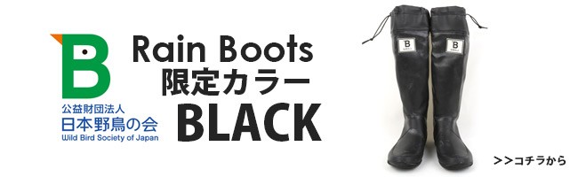 売れ筋ランキングも 日本野鳥の会 レインブーツ 梅雨 バードウォッチング 長靴 折りたたみ bw-47927 靴 4 840円