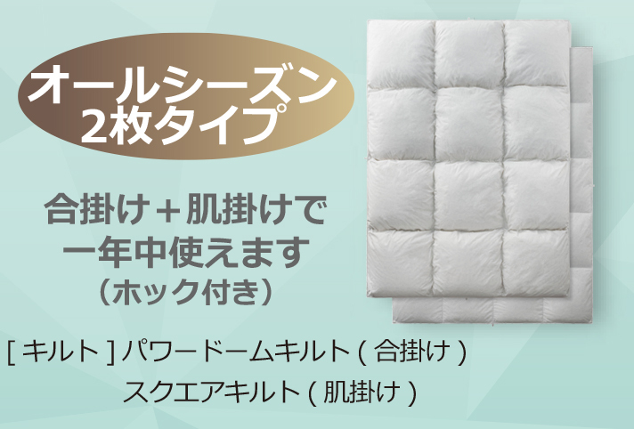 フランスベッド（FRANCEBED） 羽毛布団 オールシーズン 2枚合わせ S
