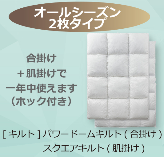フランスベッド（FRANCEBED） 羽毛布団 オールシーズン 2枚合わせ S